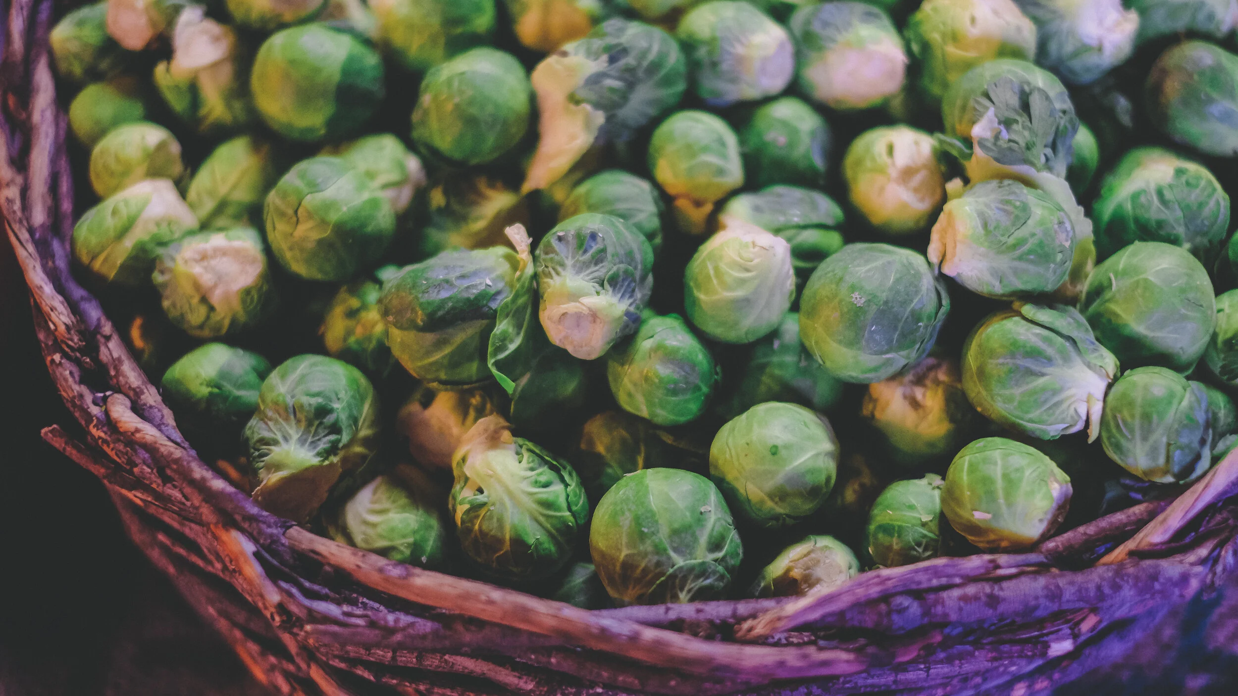 FALL IN-SEASON FOODS
