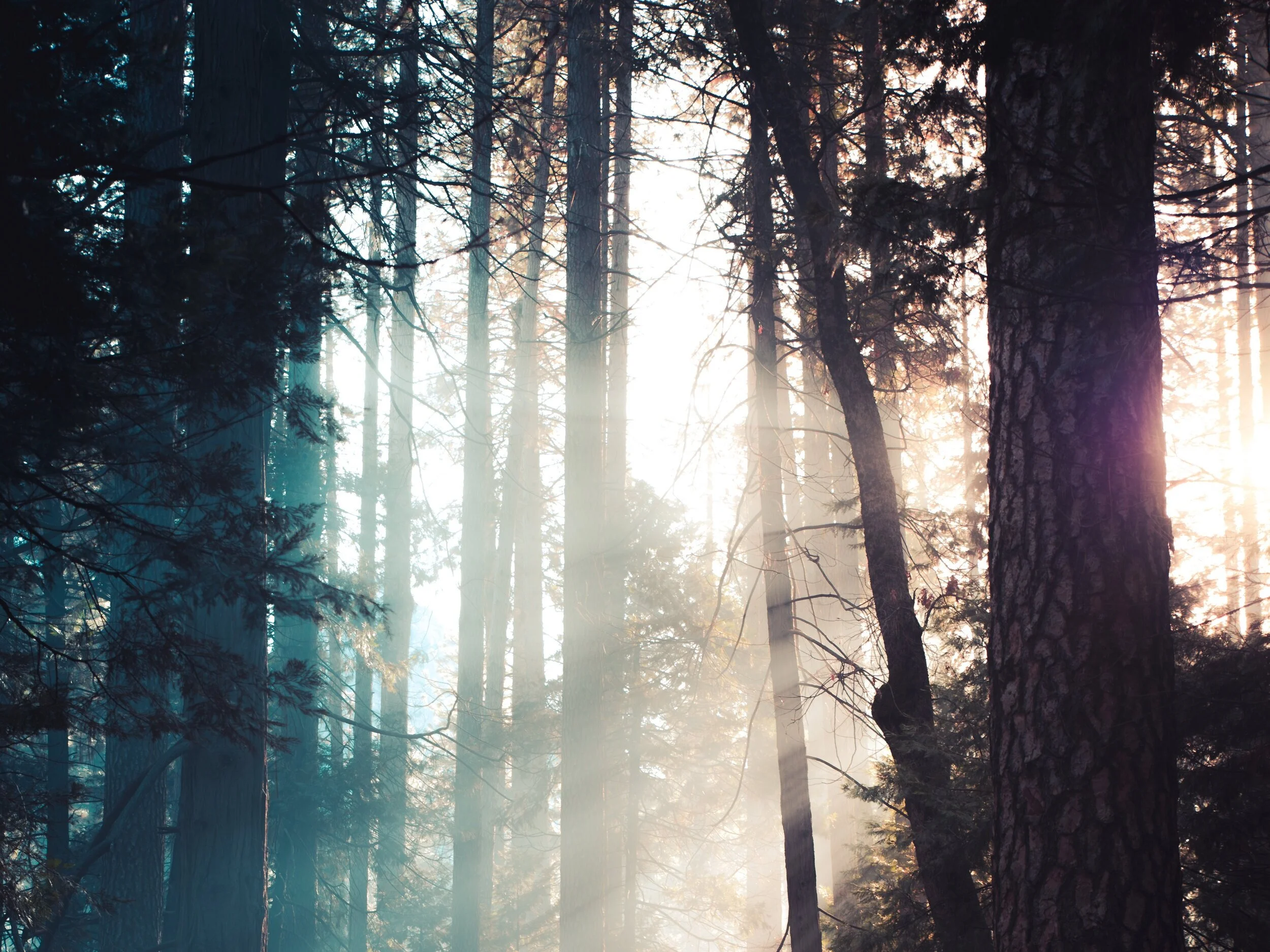 Catch Some Rays: Lightbox Benefits