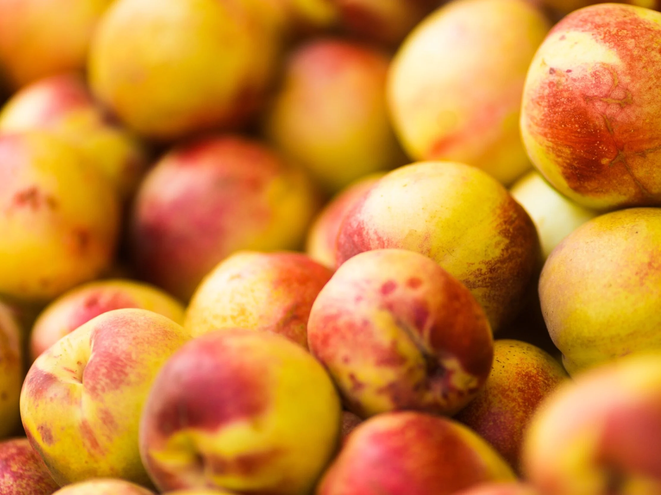 Dr. Michele Burklund Founder of Medicine Wild nectarines