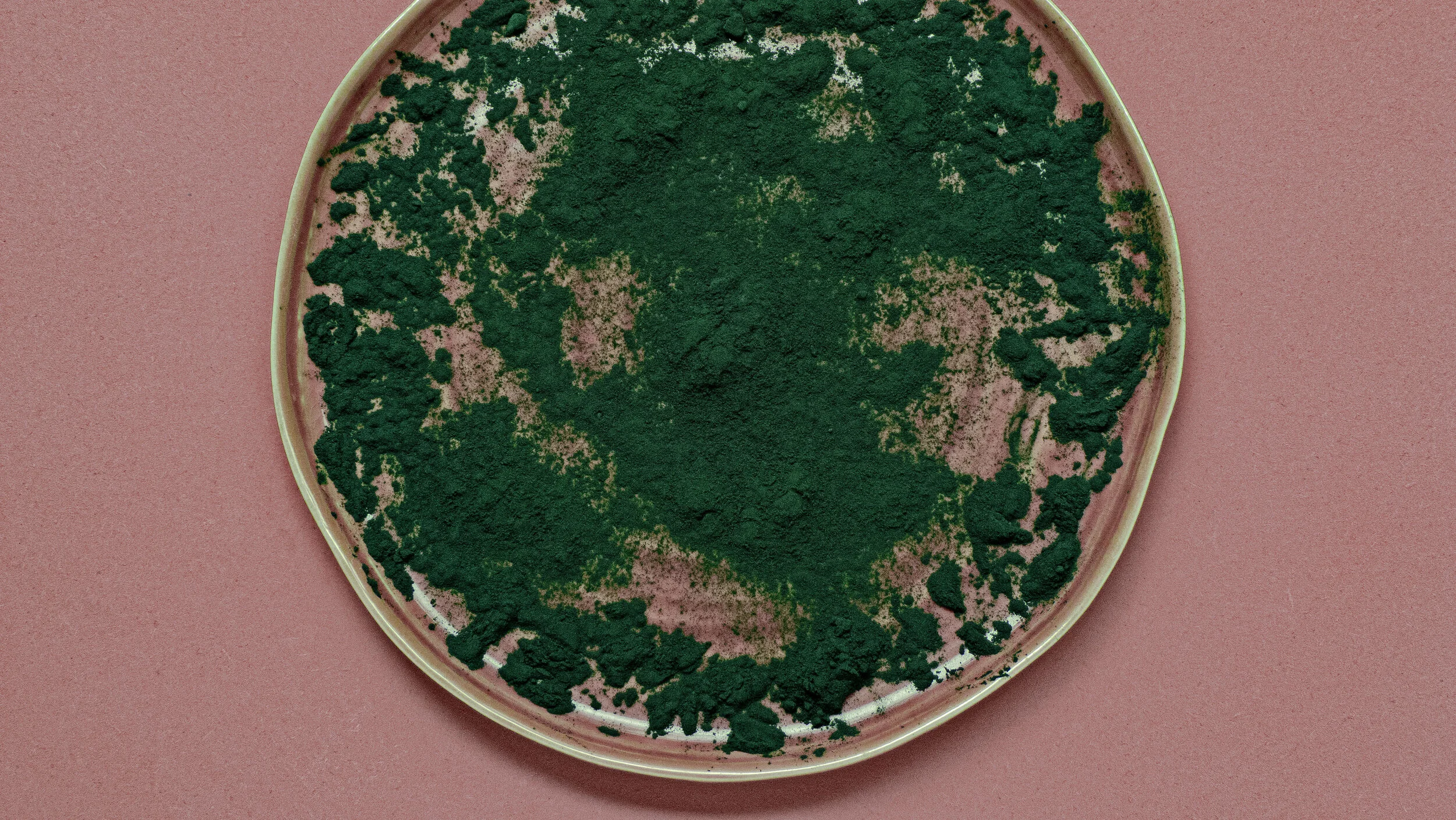 Get The Most Bioavailable Protein with Spirulina