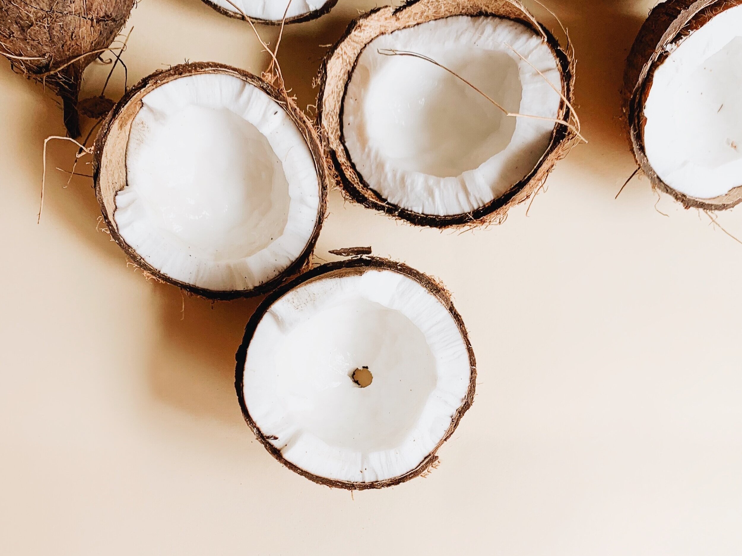 Dr. Michele Burklund Founder of Medicine Wild coconuts
