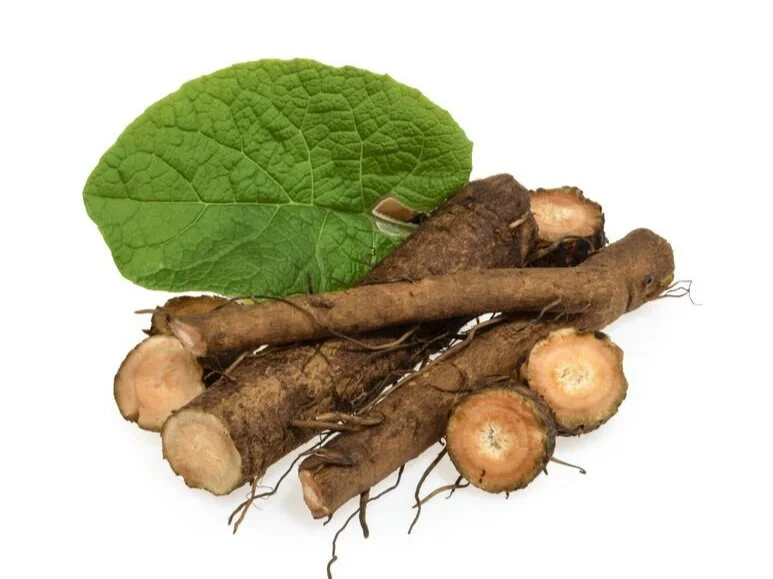 Dr. Michele Burklund Founder of Medicine Wild BURDOCK