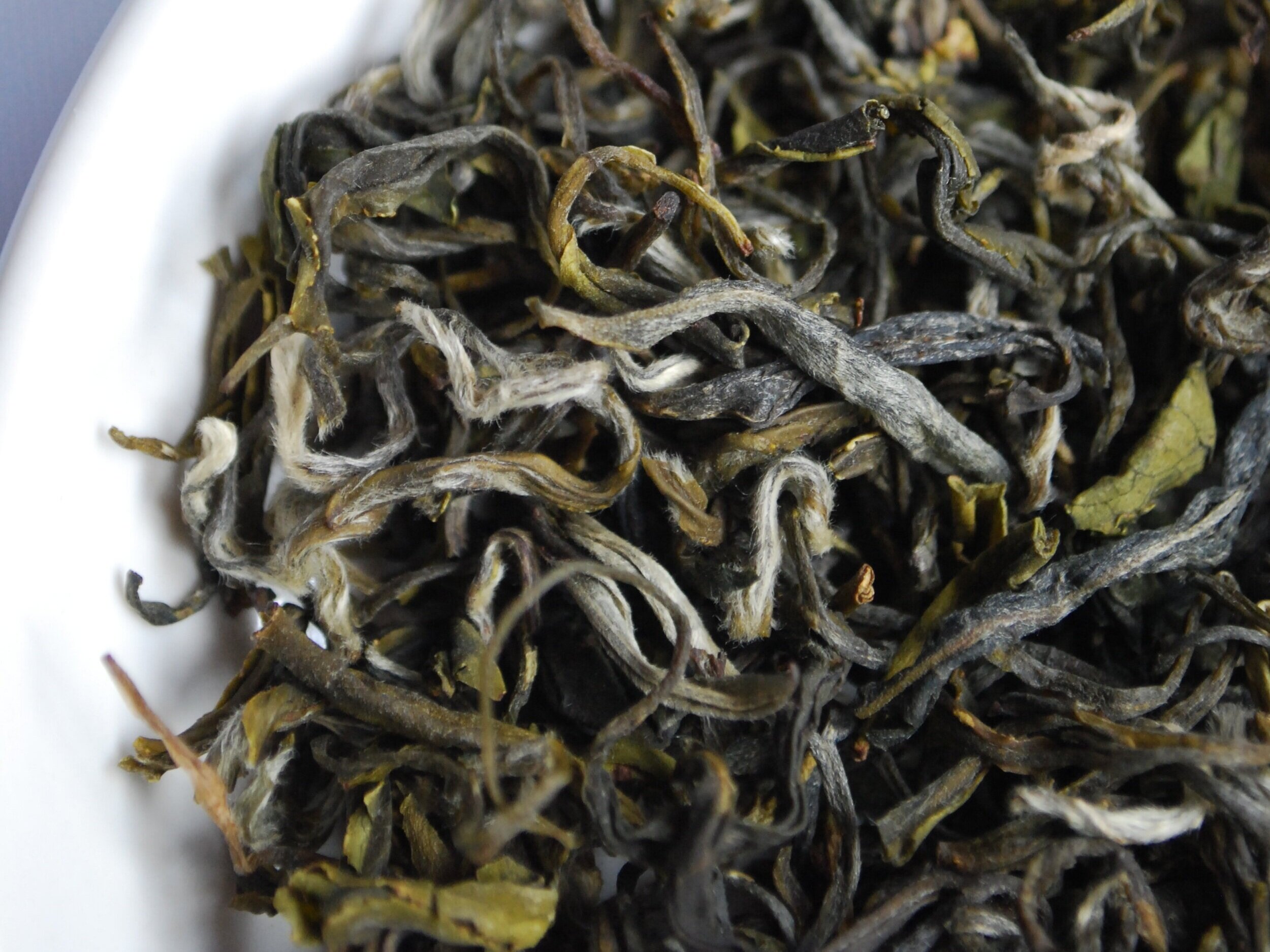Dr. Michele Burklund Founder of Medicine Wild tea