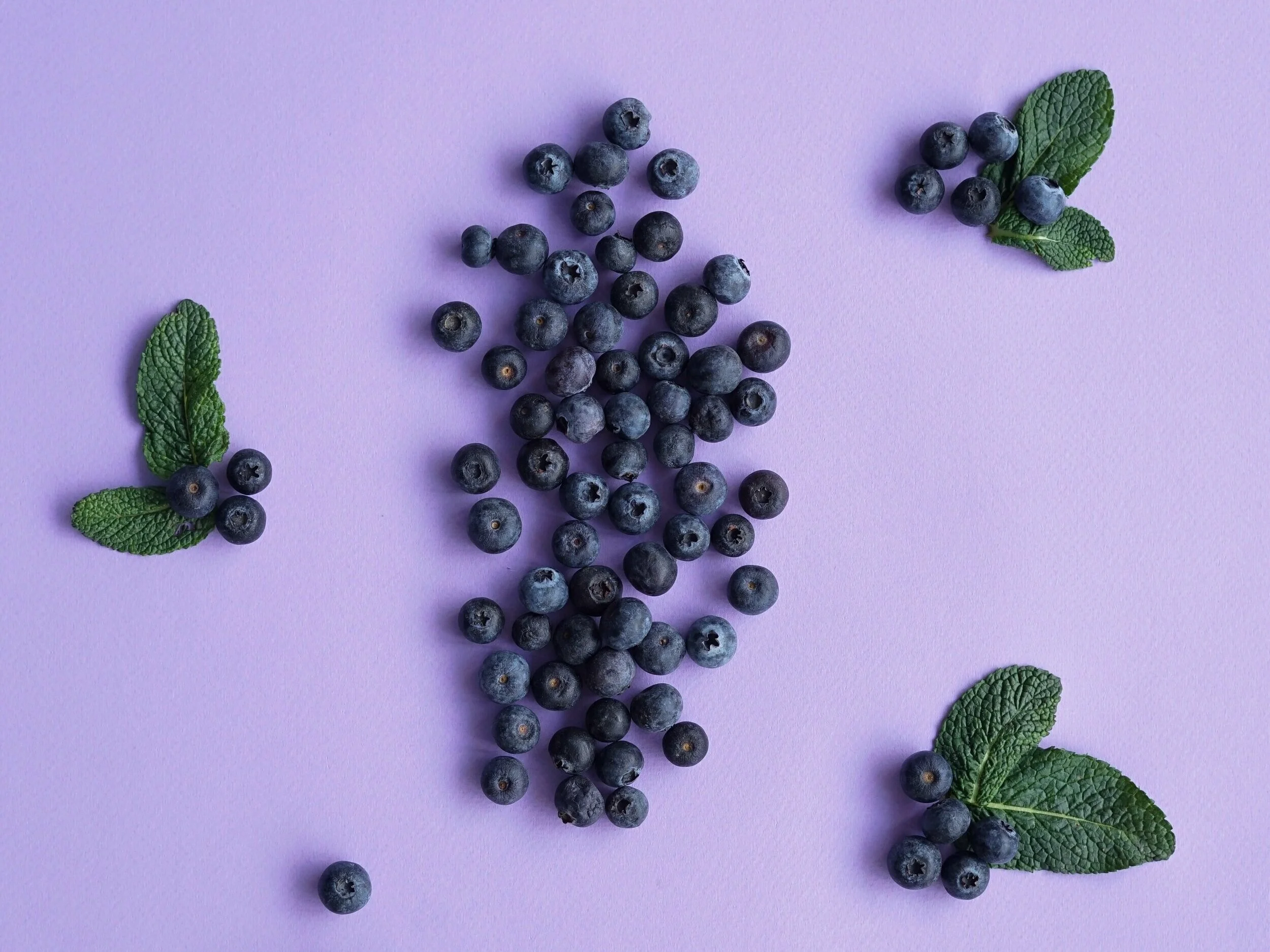 Dr. Michele Burklund Founder of Medicine Wild blueberries