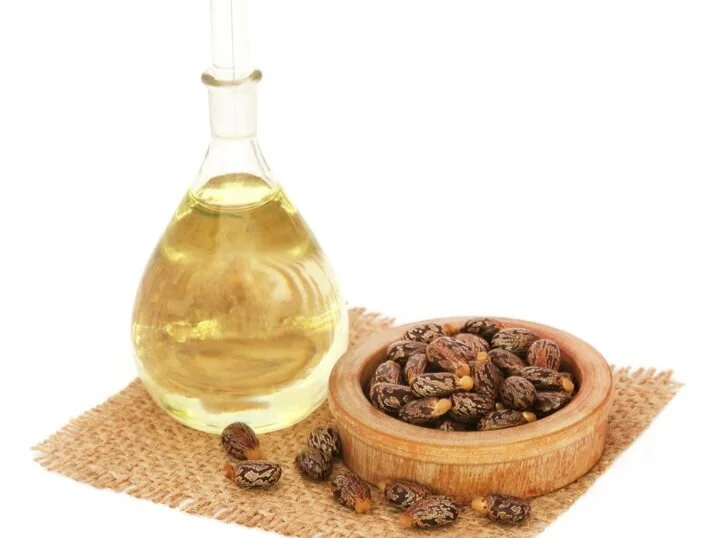 Medicinal Mushrooms Dr. Michele Burklund