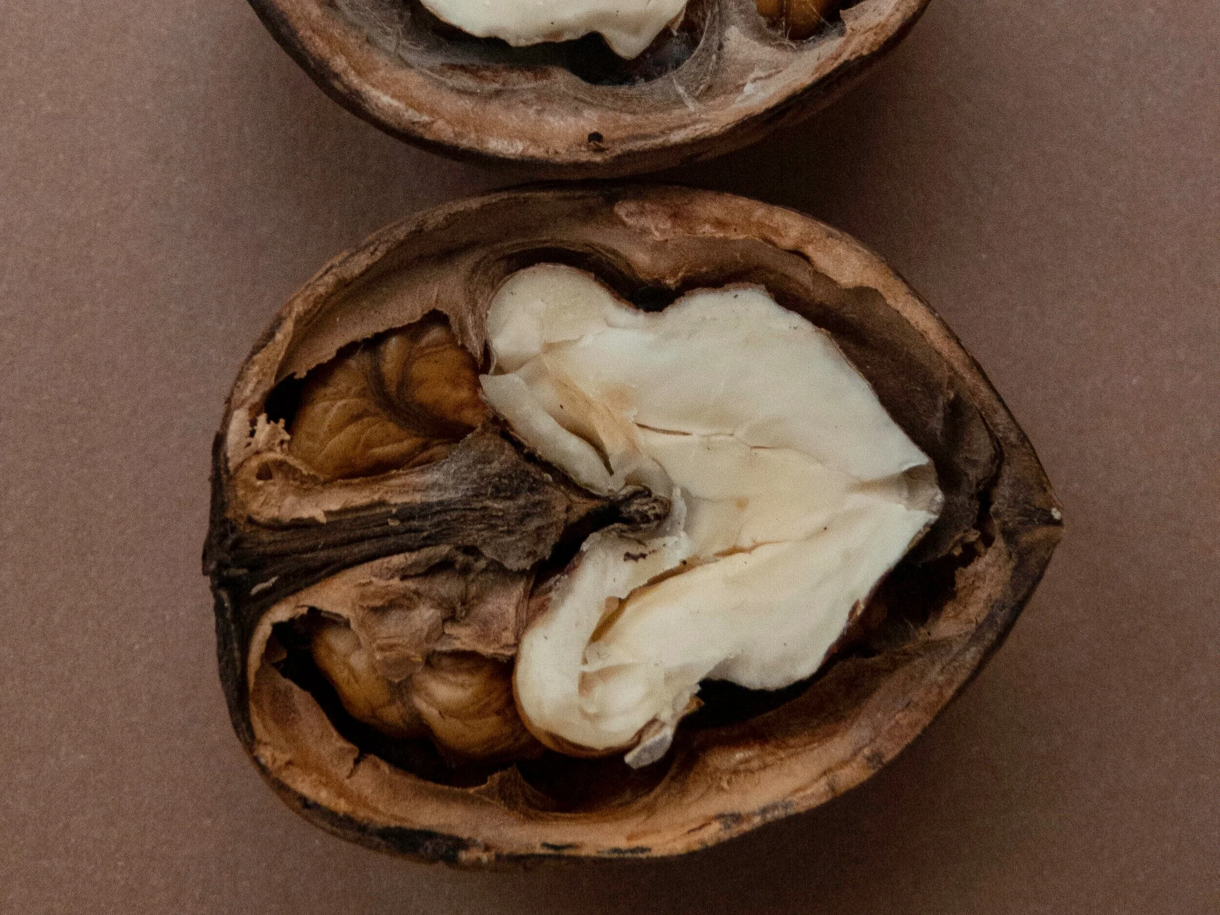 Dr. Michele Burklund Founder of Medicine Wild WALNUTS