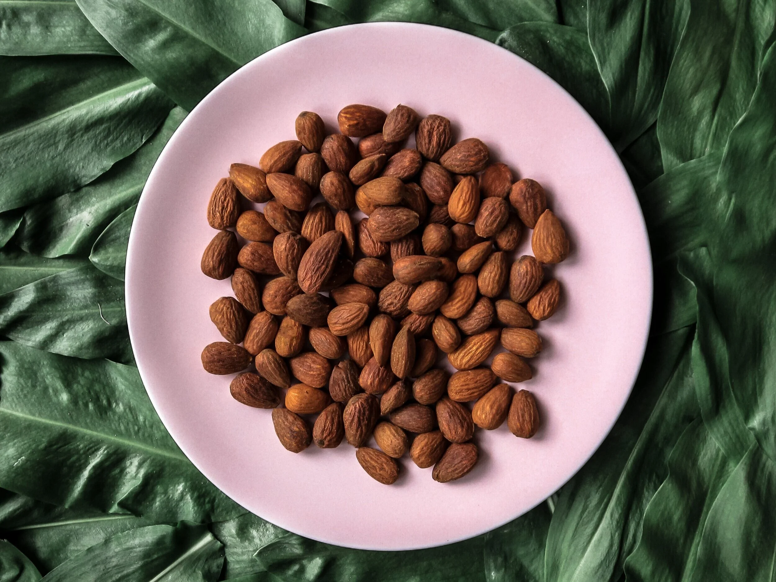 Dr. Michele Burklund Founder of Medicine Wild ALMONDS