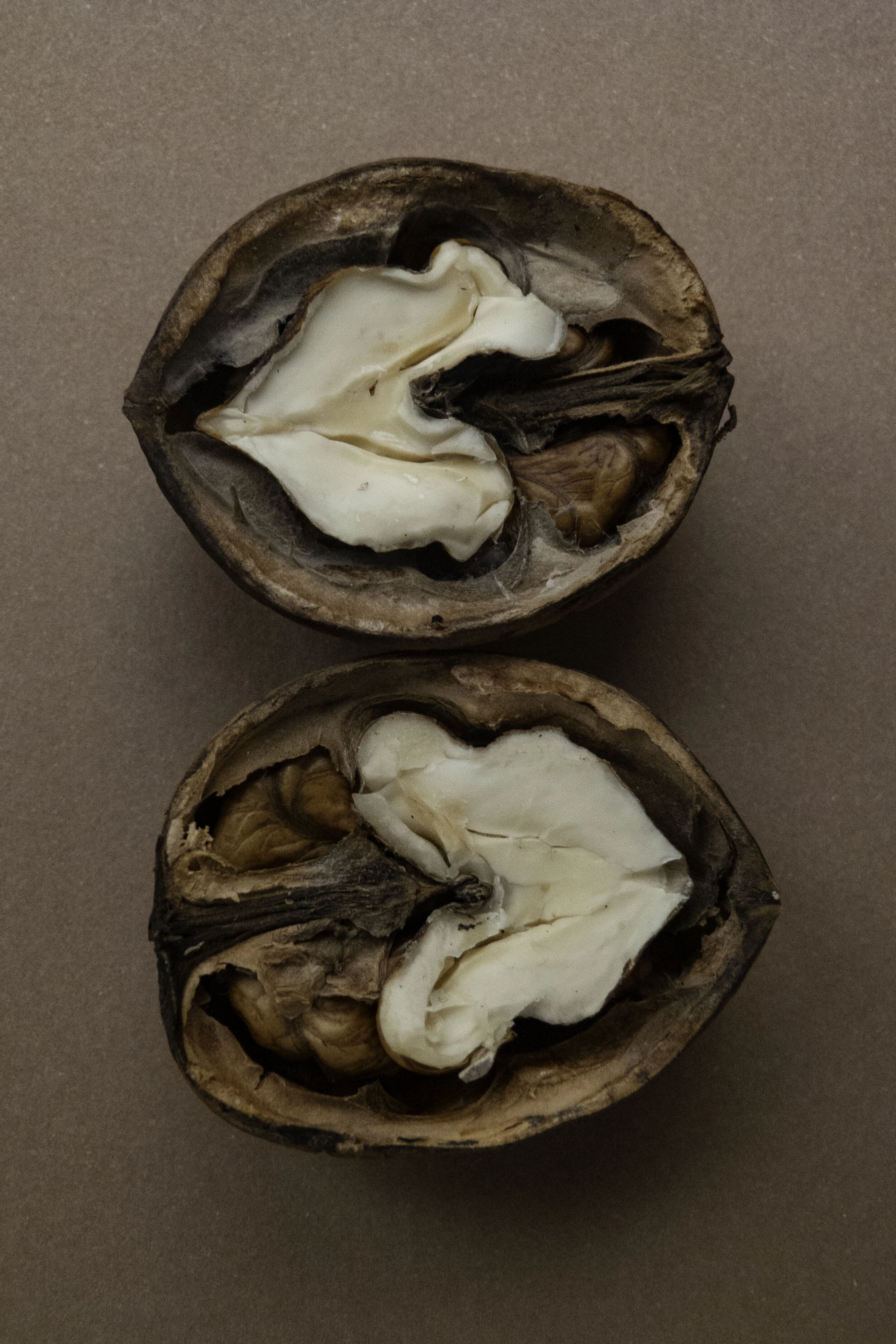 Crazy For Nuts... the perfect snack with minerals &amp; rich in oils