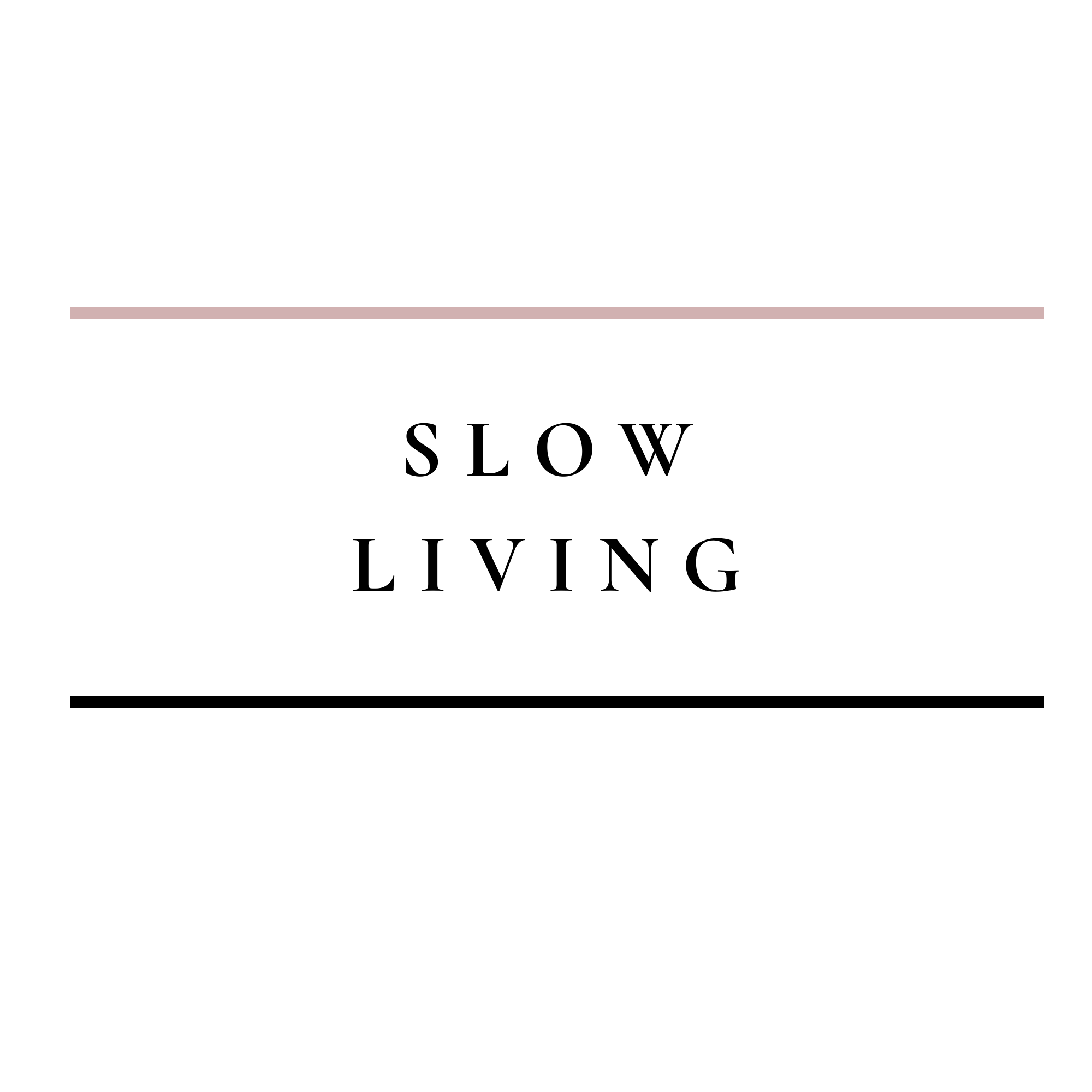 SLOW.png