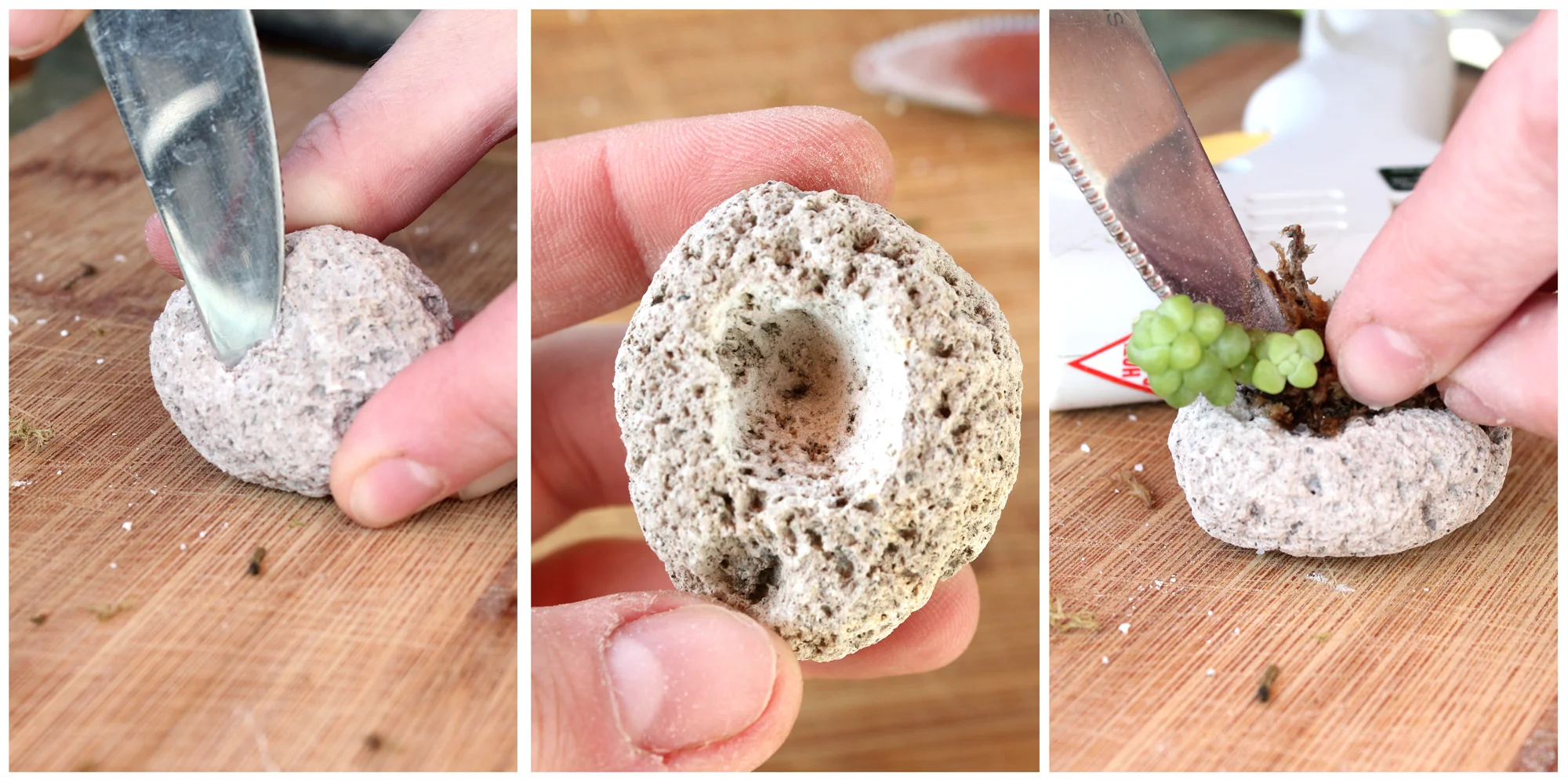 carving pumice and inserting plant