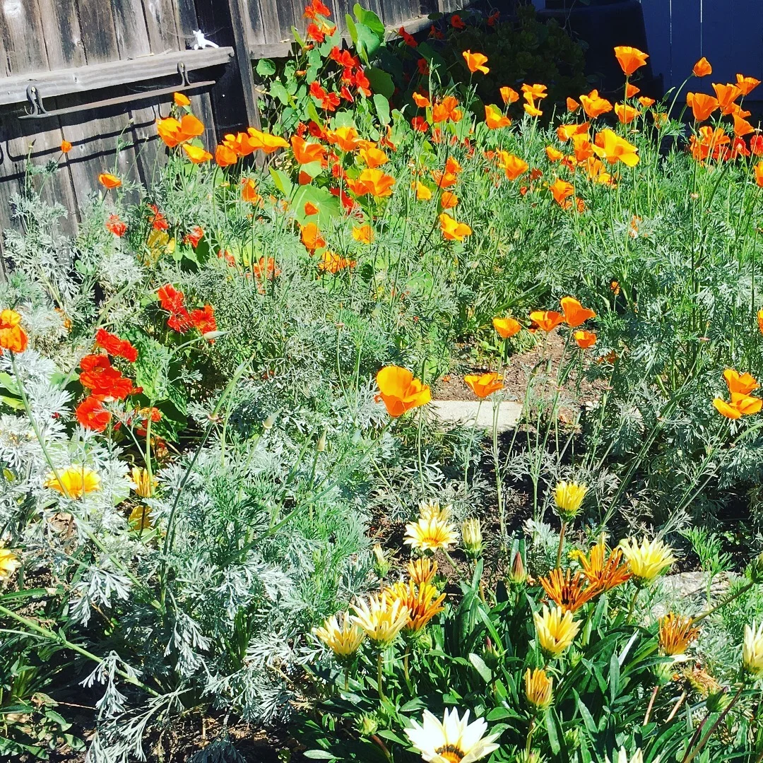 springflowers_naiadsoaparts_erinpikor.jpg