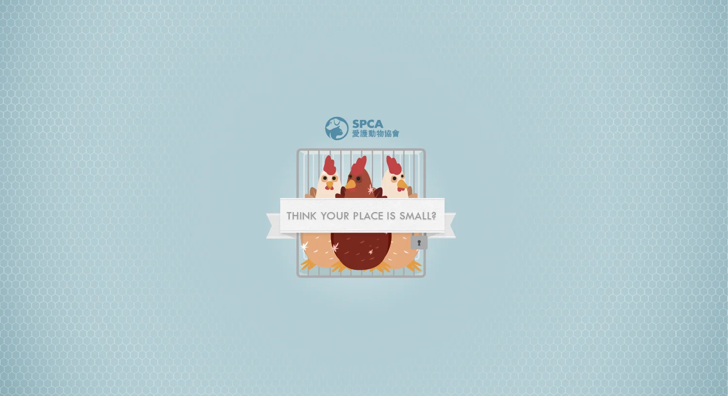 SPCA Chickens Campaign