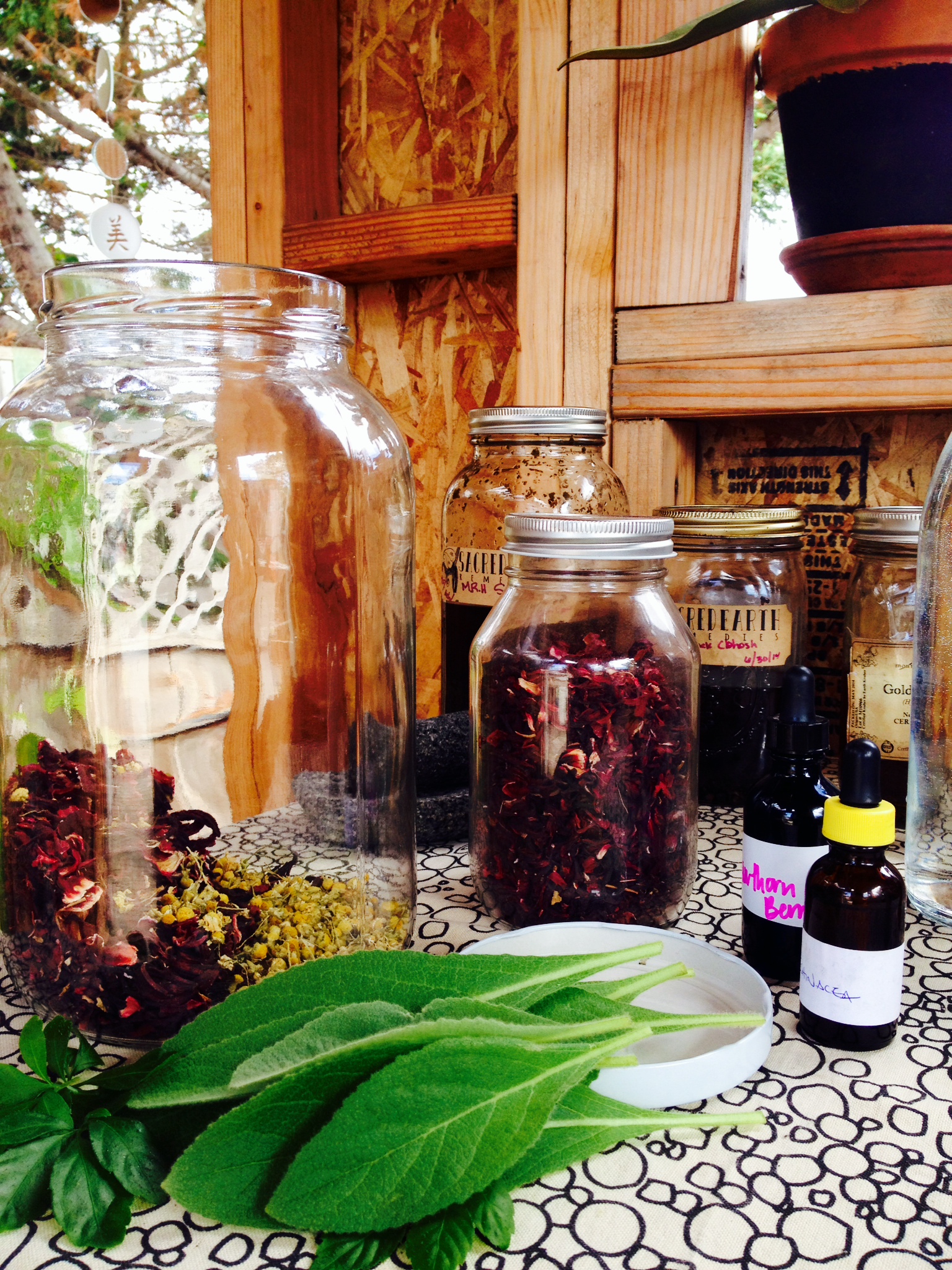 A blend of hibiscus, chamomile, mullein, jiaogulan, full drop of echinacea, few drops of hawthorn berry, and lots of positive, loving, and beautiful thoughts... Perfect blend to bring joy to body, mind and soul!