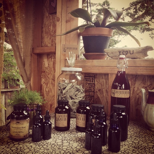 Preparing organic handmade goldenseal root tincture