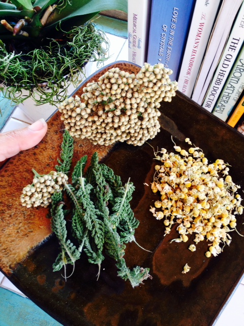 Yarrow and chamomille 