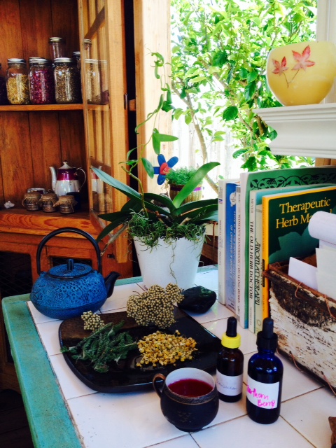 Sacred Earth Remedies Healing Center...at least thats what I call it :-)