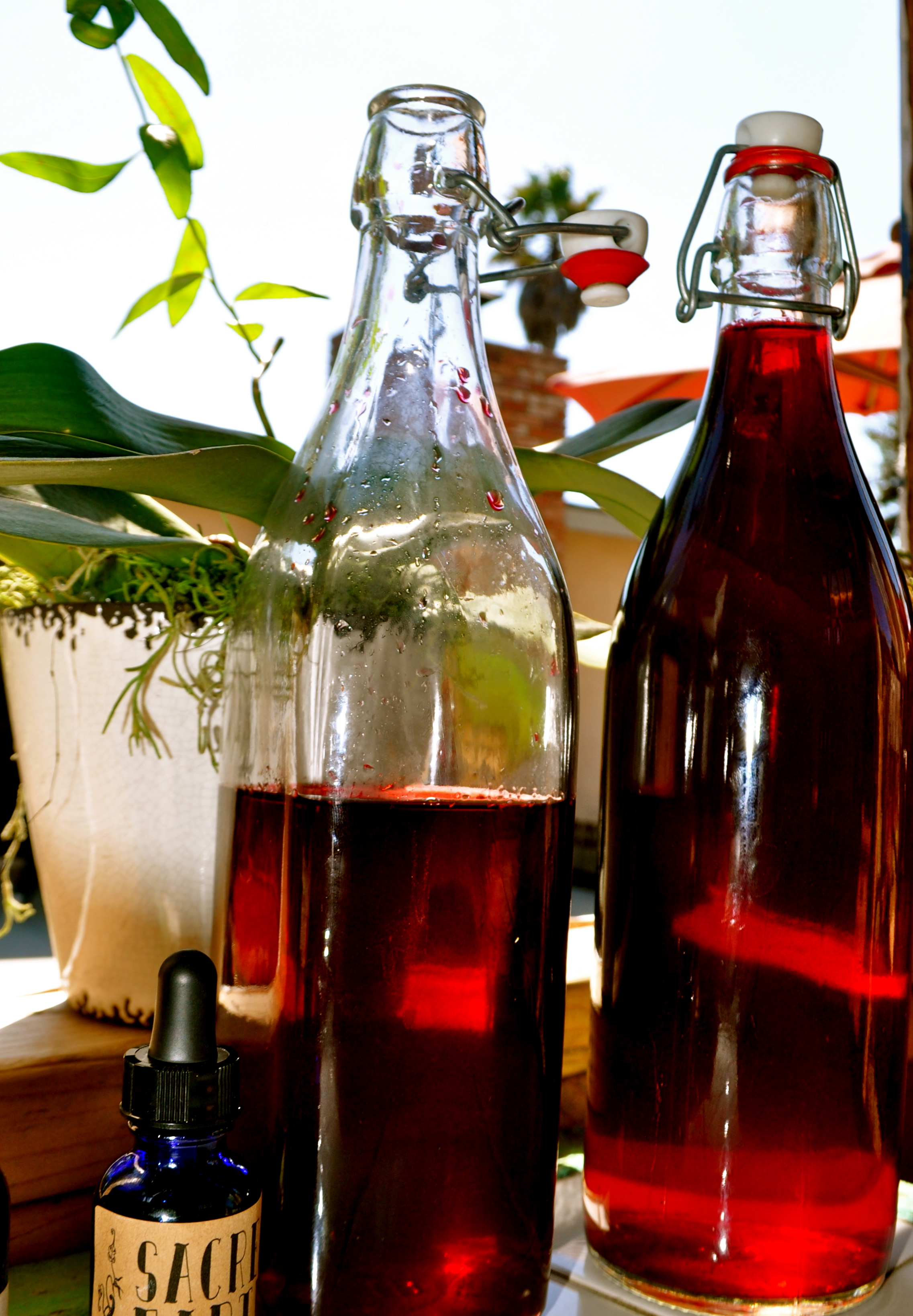 Fresh bottle "hibiscus herbal tonic"