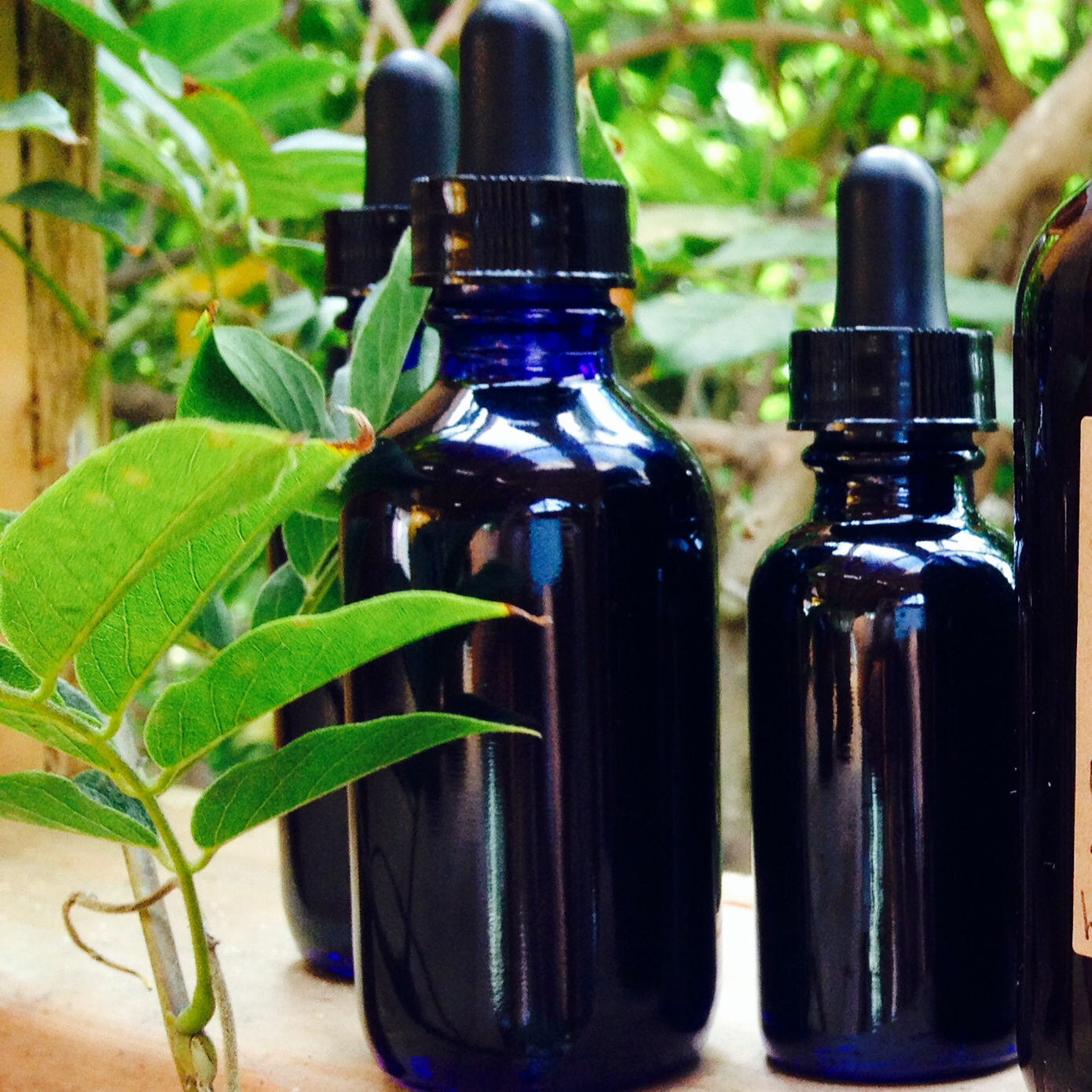 Organic Helbal Tinctures