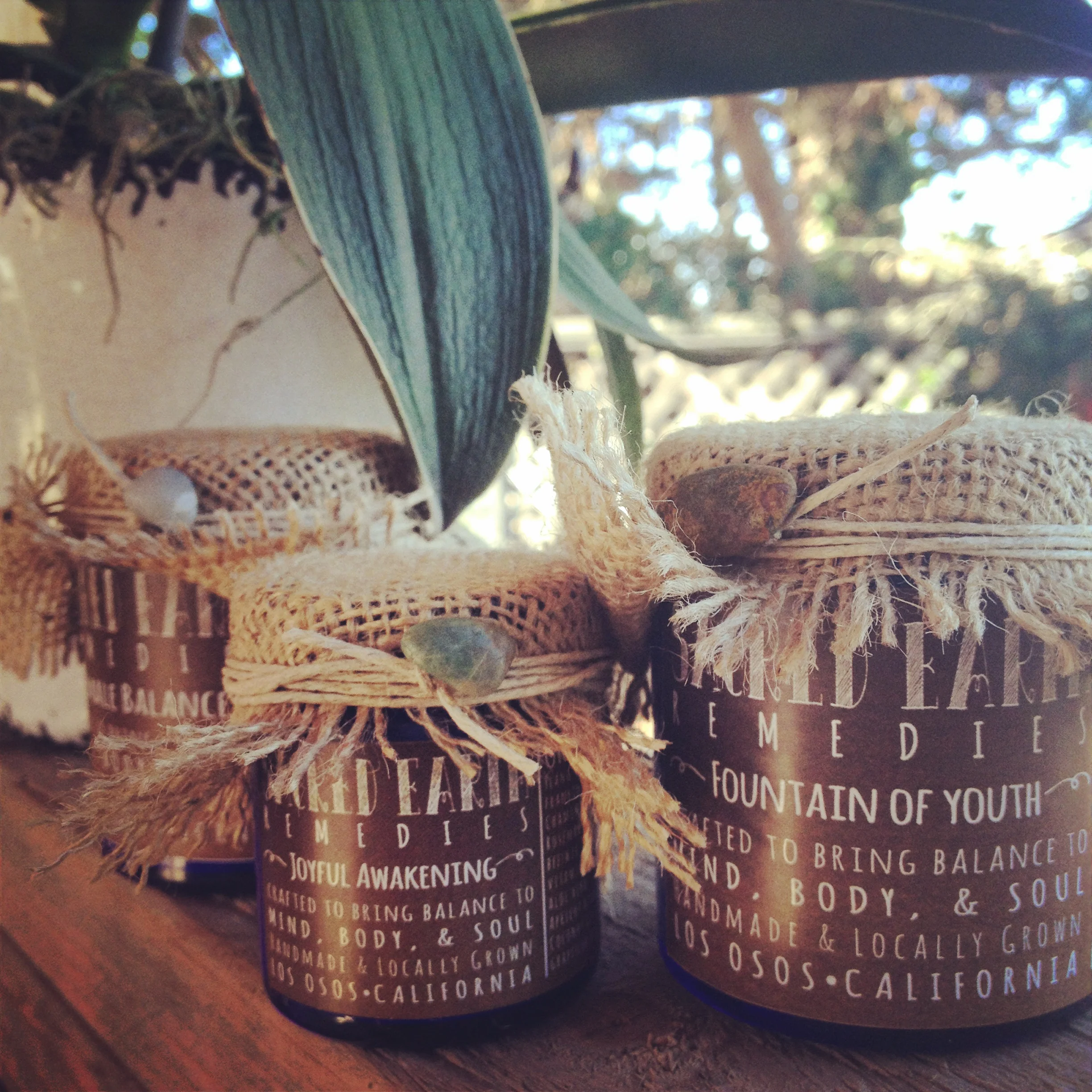 All natural, organic, handmade, & locally grown. Each cream is packed with the best ingredients your skin deserves.