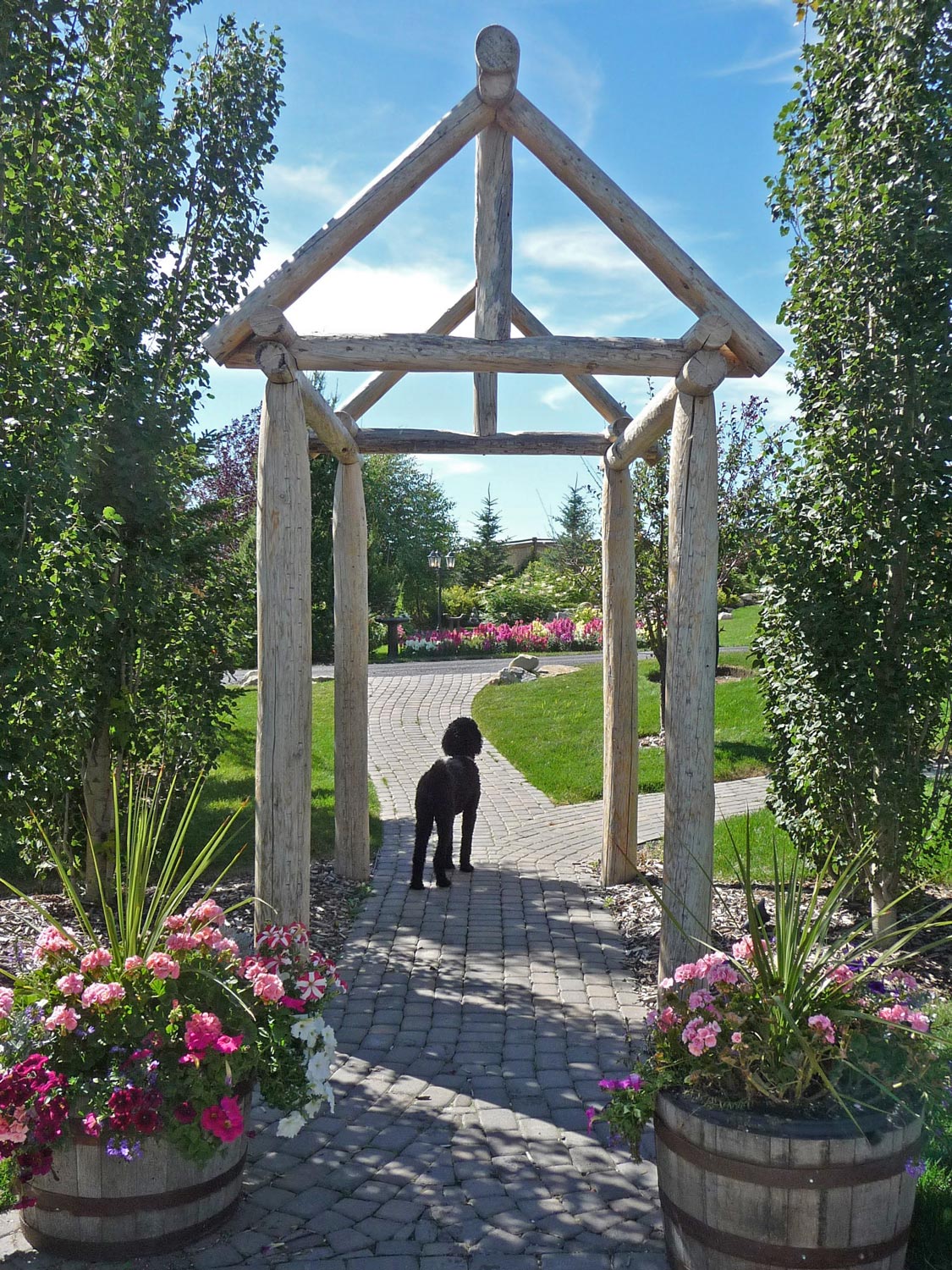 rustic wood arbor structure and garden path