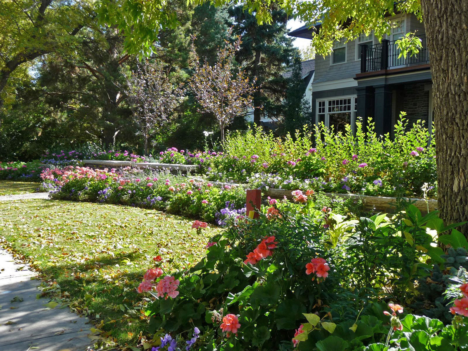 mt.-royal-residence_front-lawn-&-planting.jpg