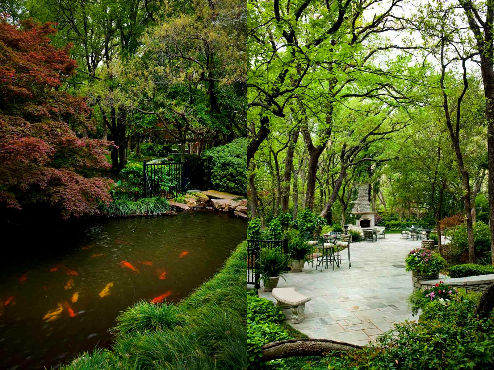 natural koi pond and outdoor patio