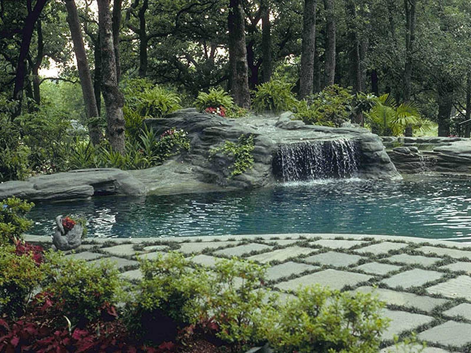 natural swimming pool design and water feature
