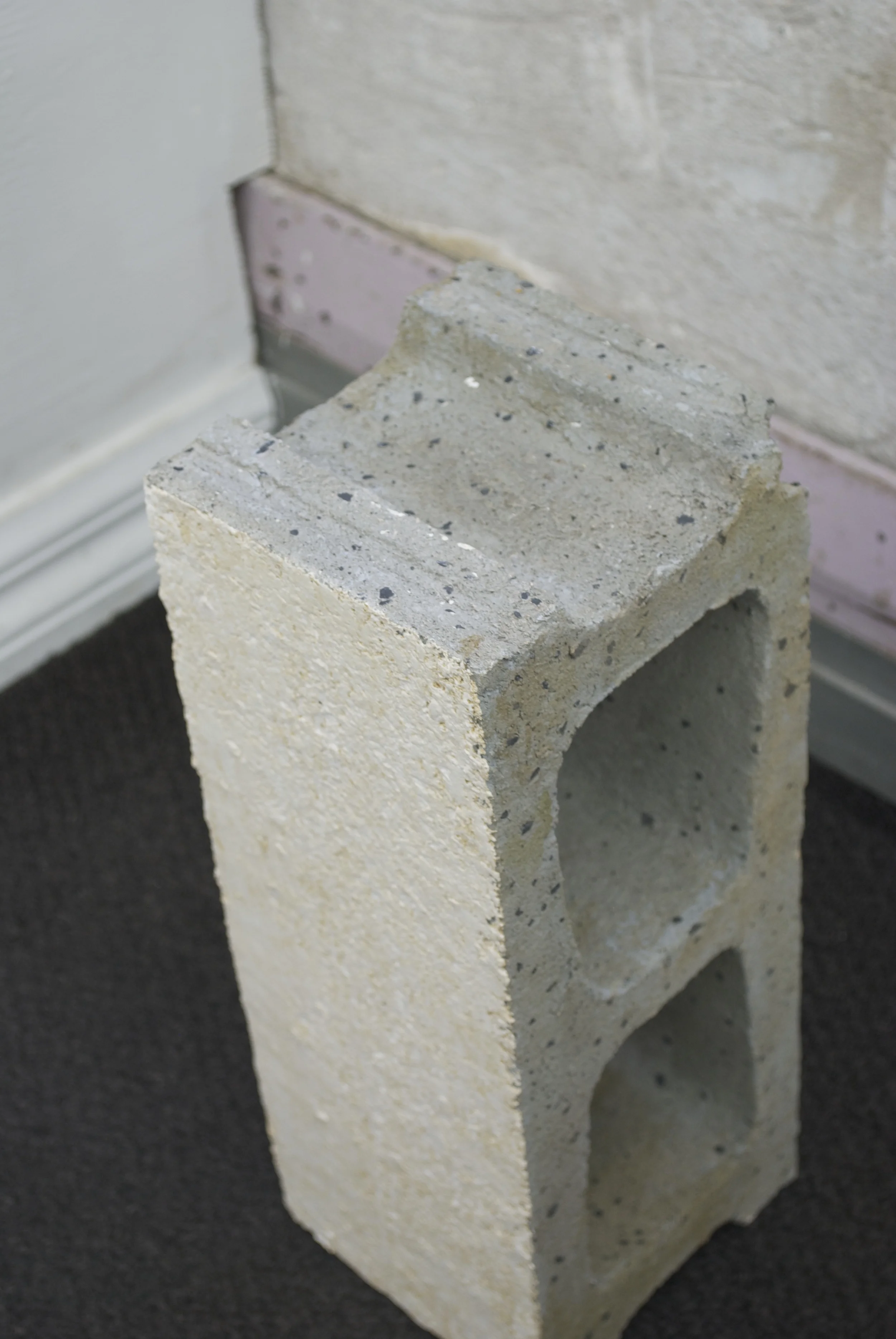 Perineum (Cinder block), 2009