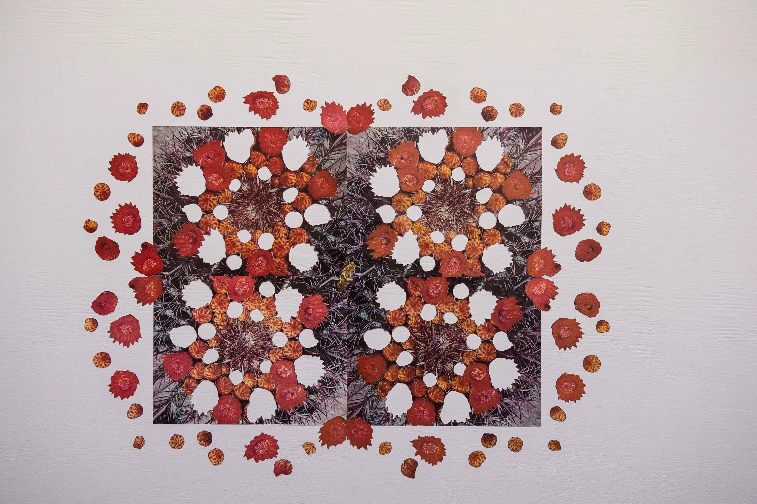 Cactus Garden (Quadruple), 2014