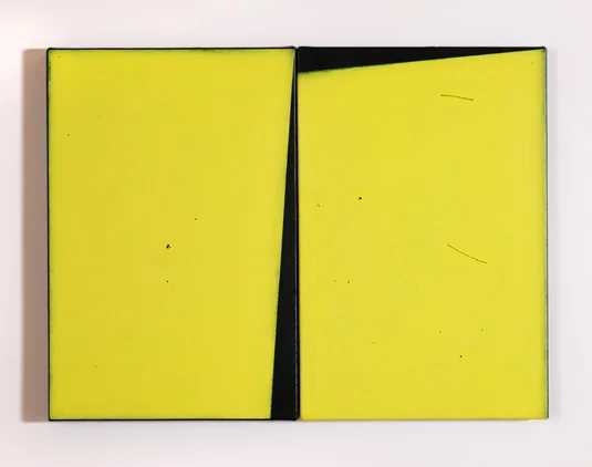 Peter Adsett Painting number 8 (diptych) 2009 Material: black, brush hair, studio detritus, acrylic paint and linen on stretcher frame 46 x 62 x 2cm Enquire