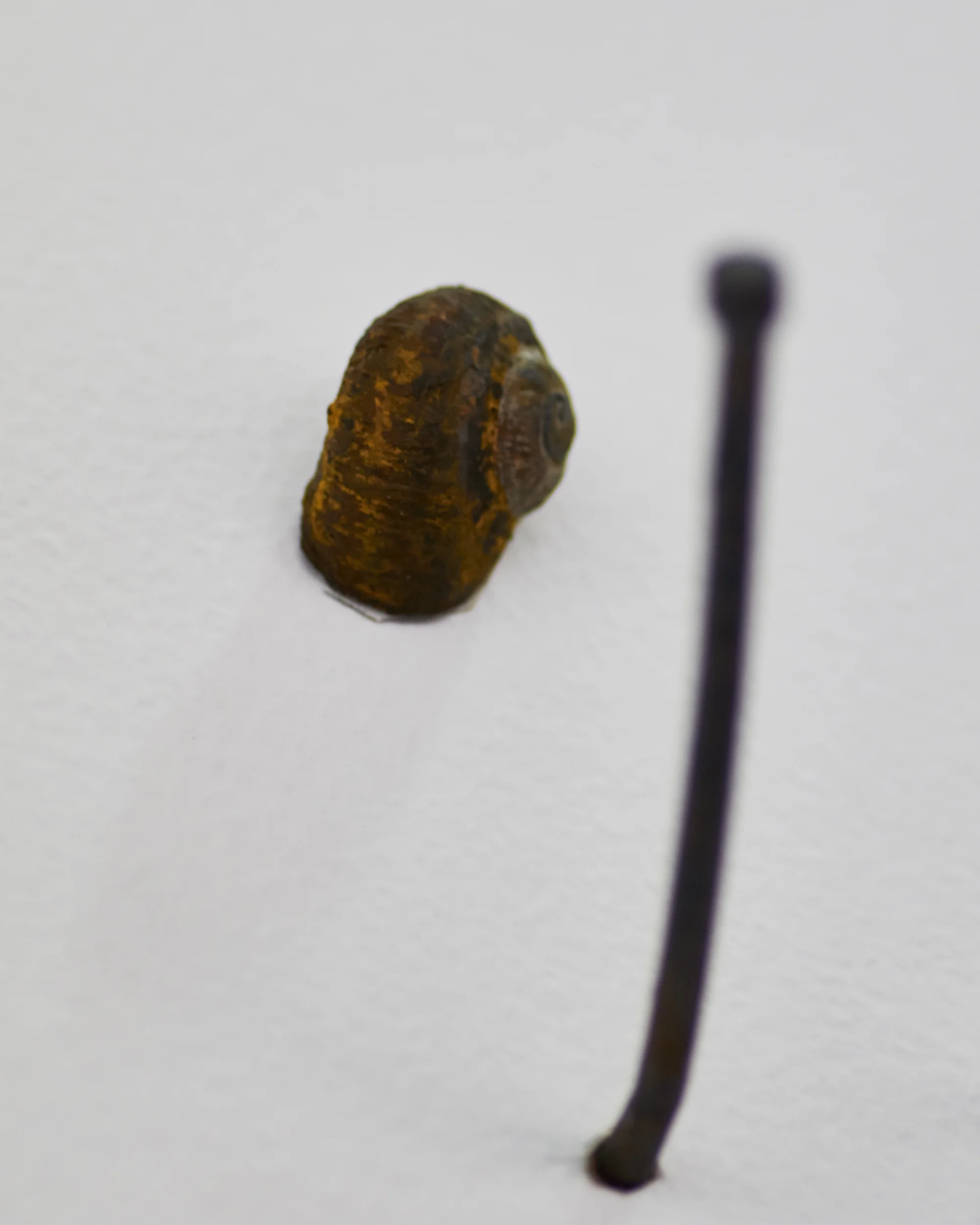 IMGL5132.jpg