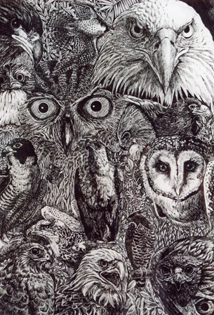 birds-of-prey.jpg