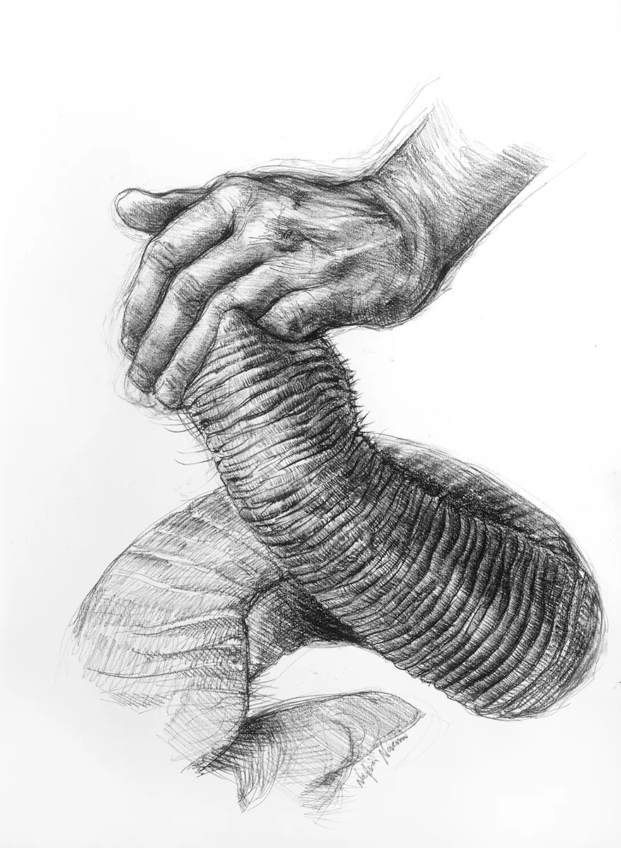 nafissa-elephant-25.jpg