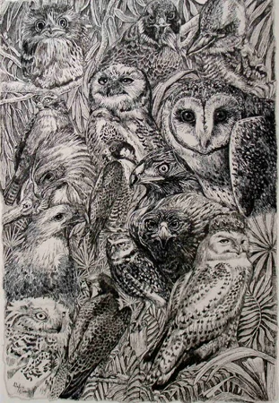 oz-birds-of-prey.jpg