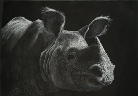 rhino.jpg