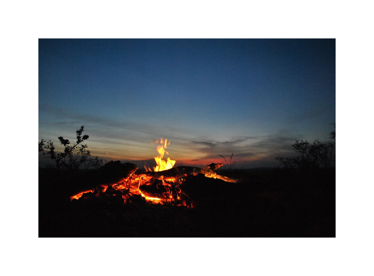 Campfire view. Chinko Nature Reserve, CAR