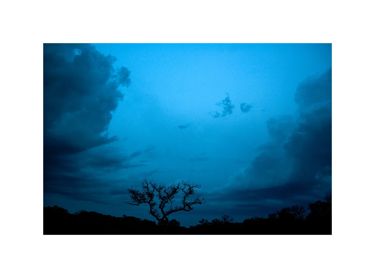 Chinko Nature Reserve, CAR