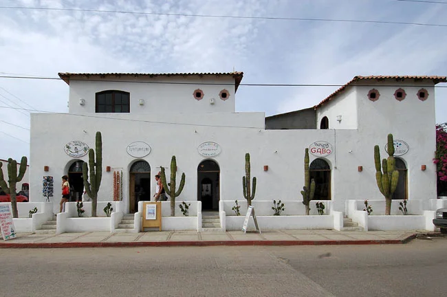 Click on the image above for a photo gallery of the Todos Santos writing retreat held in February of 2014. Click here to view a YouTube video of scenes from the retreat, courtesy Mike Brozda.