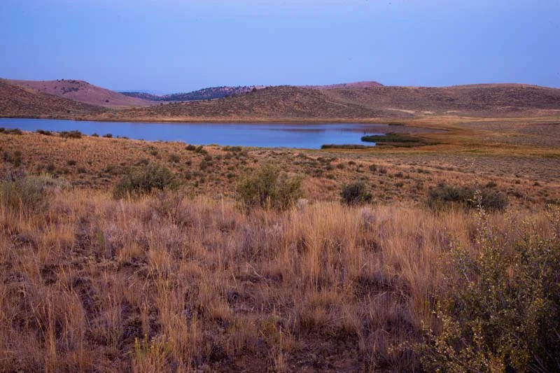 Photo courtesy of Grindstone Lakes Fly Fishing .