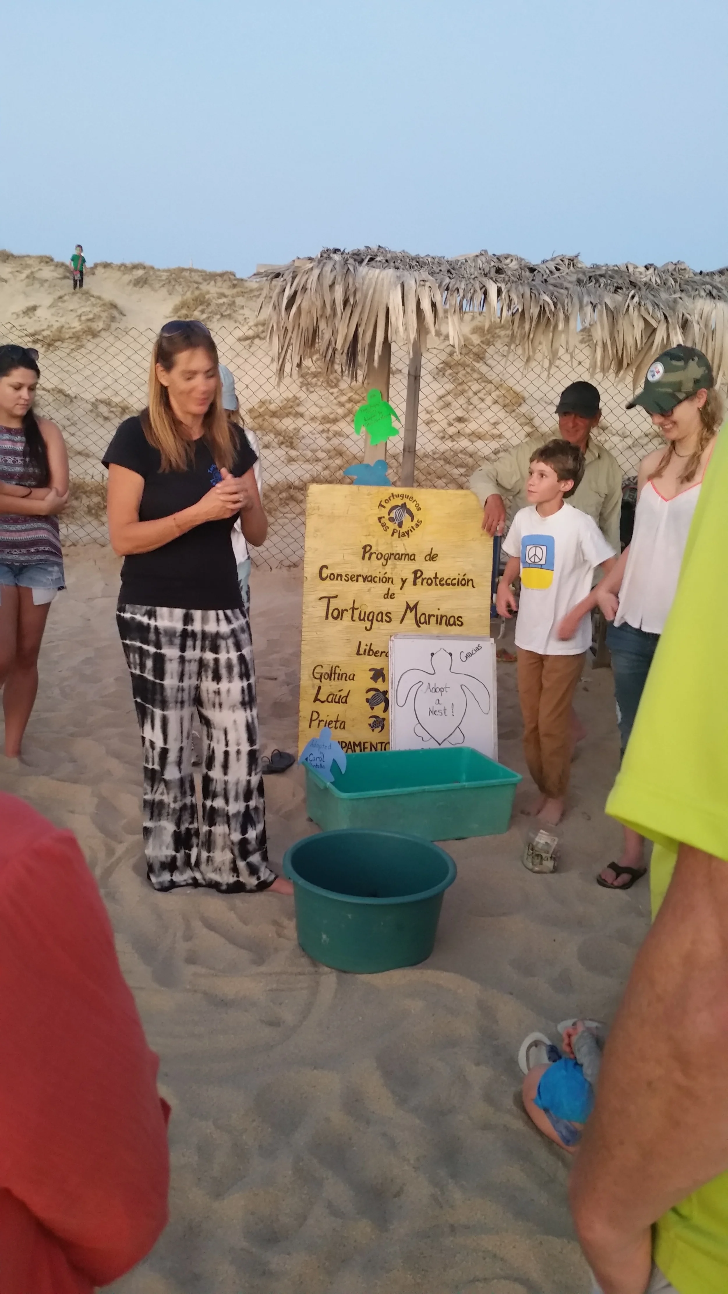 More Turtle Hatch