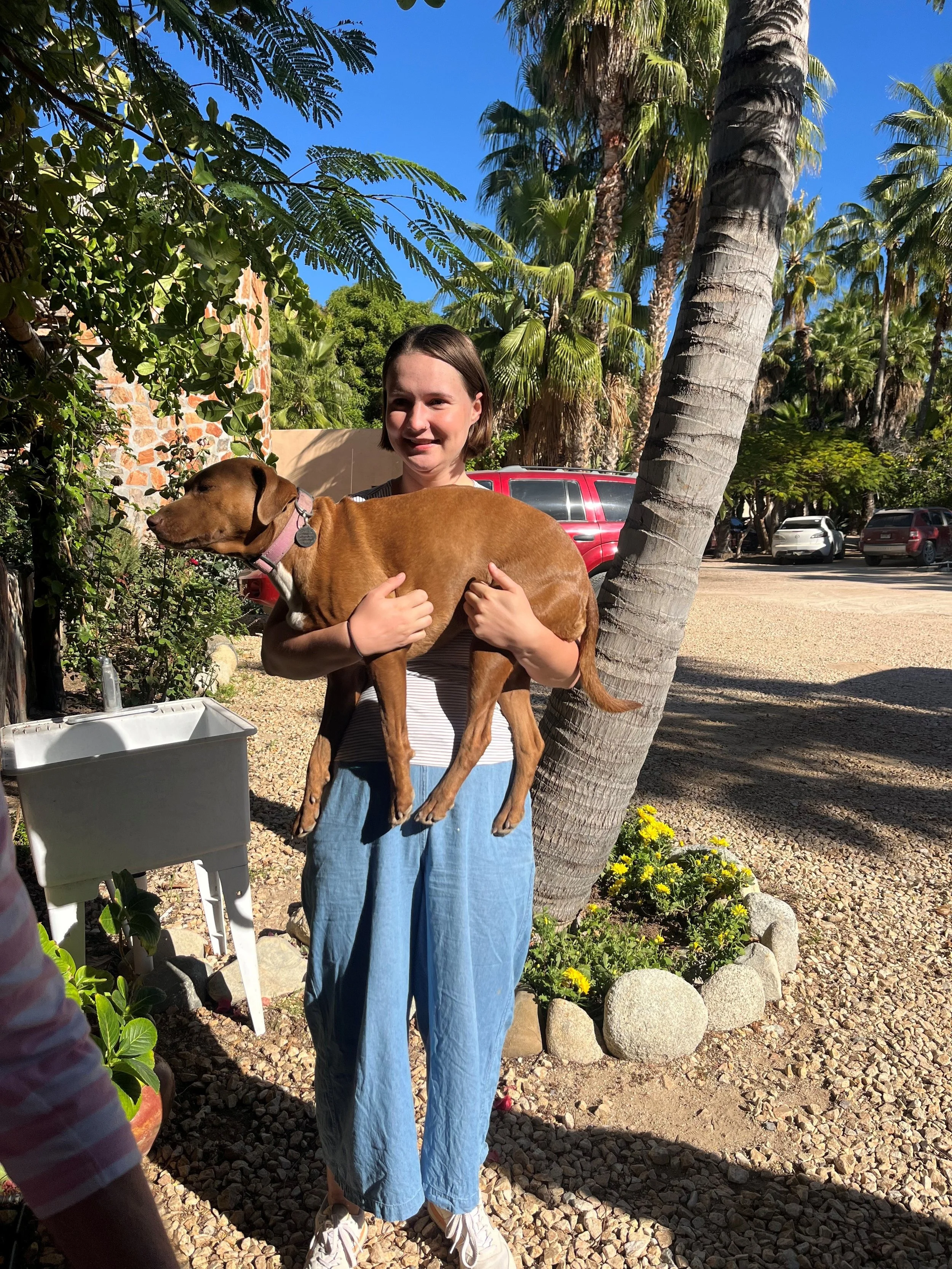 Woman with dog.jpg