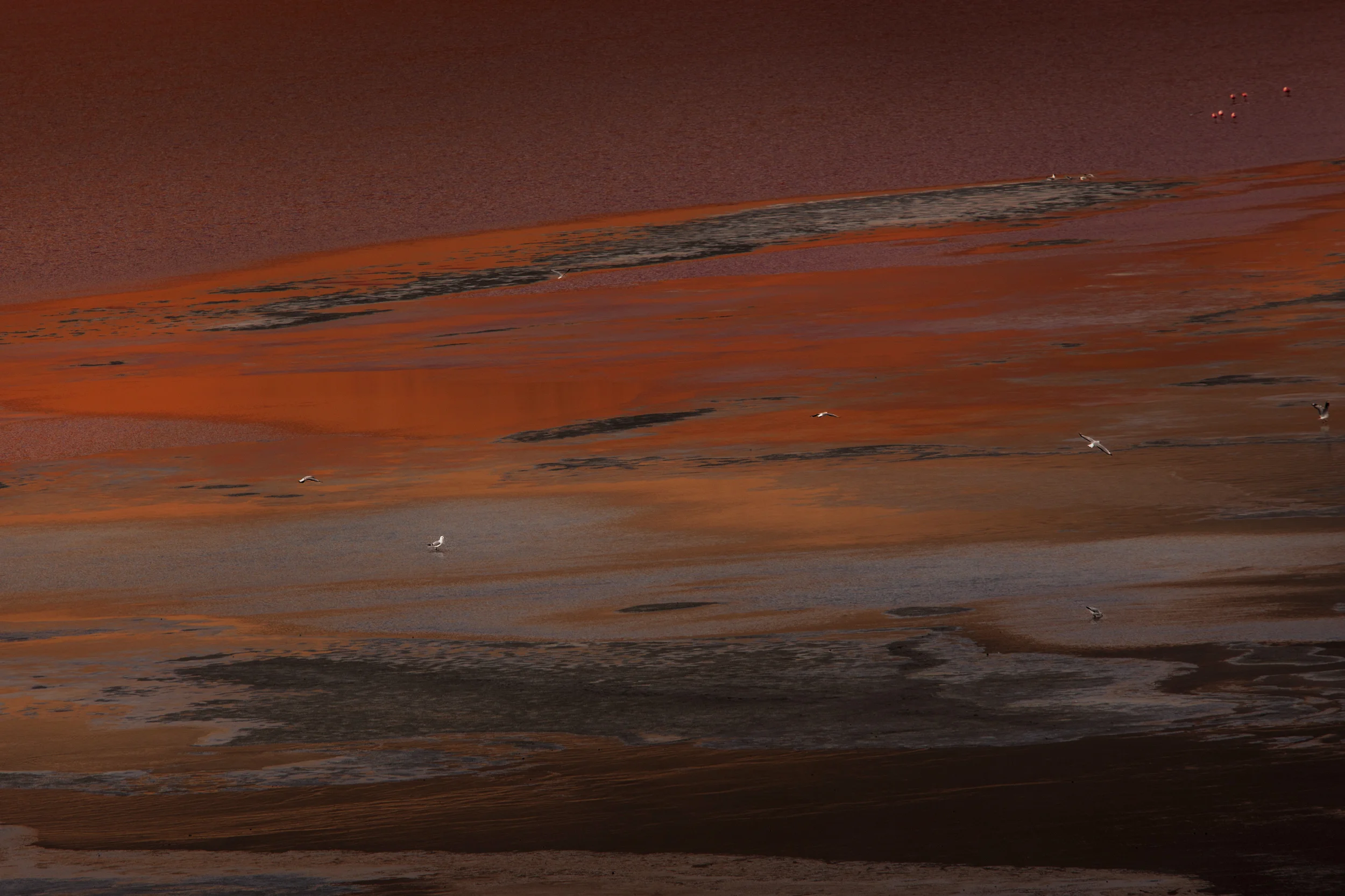 Laguna Colorada