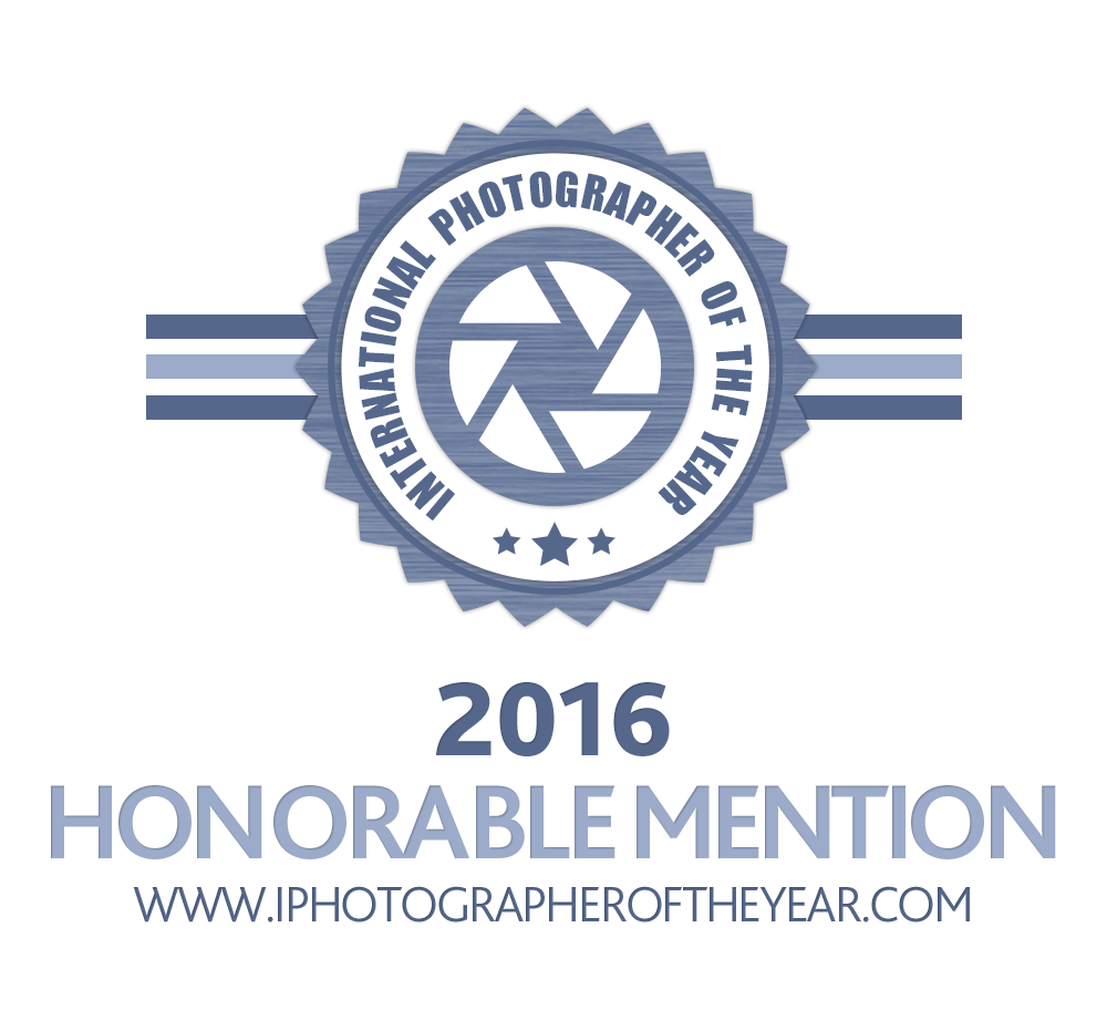 ipoty_2016_hm (1).png