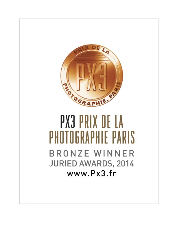 Px3-2014-Bronze.jpg