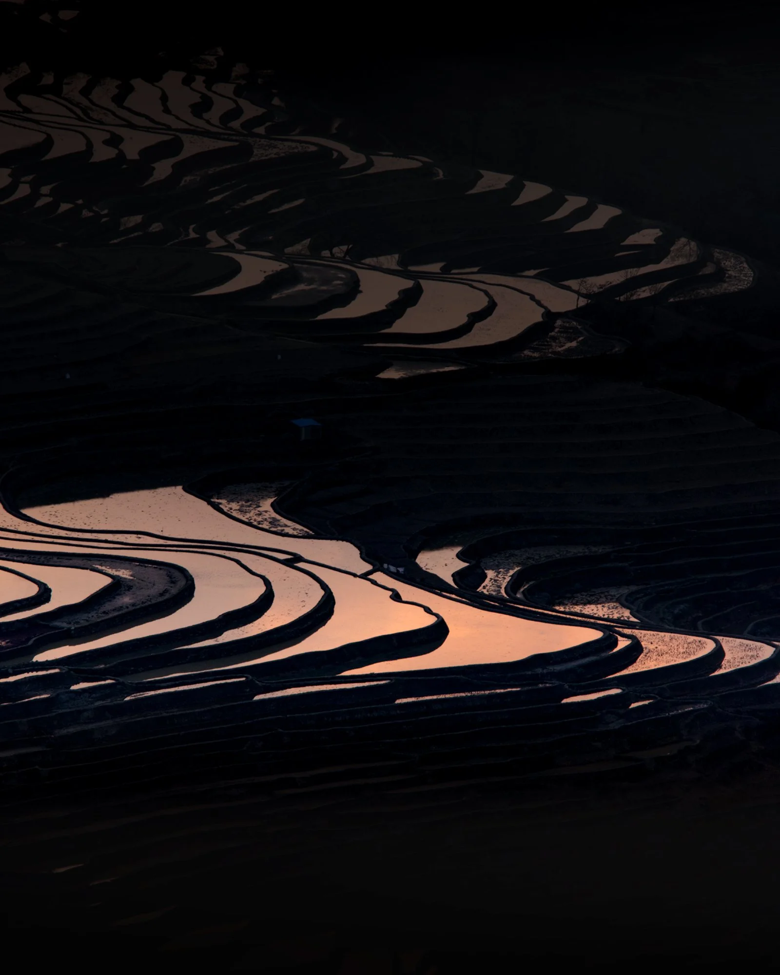 0A3A3856.jpg