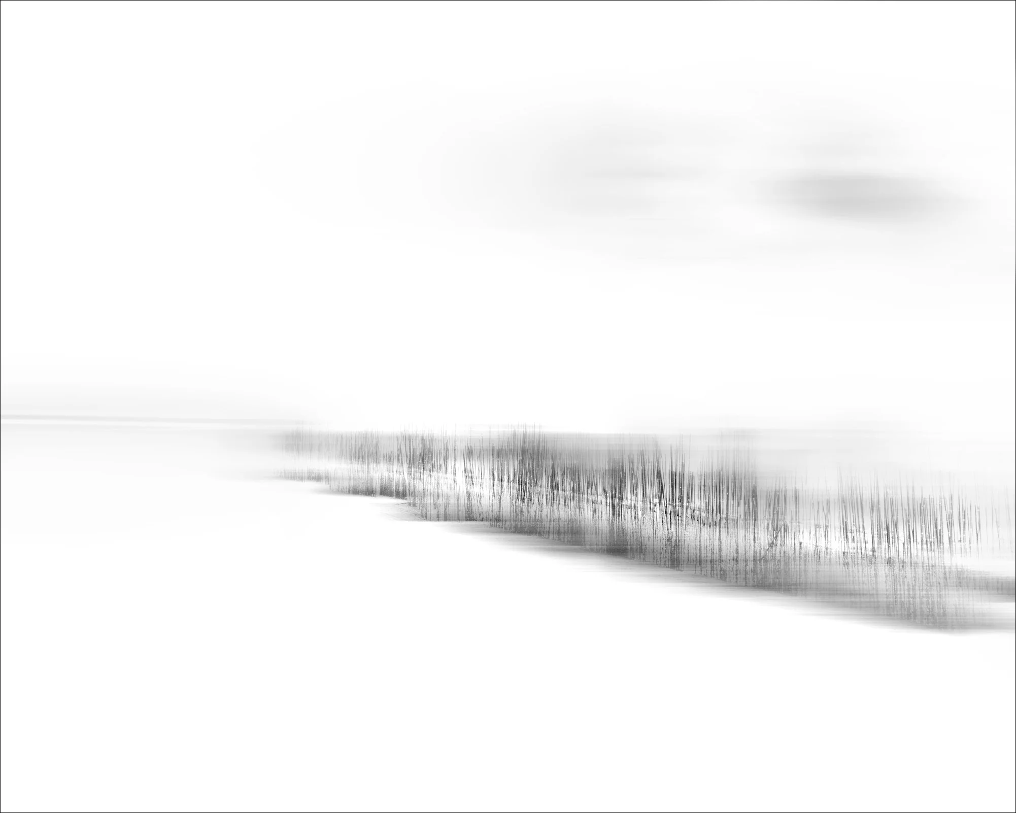 _A3A0823-CAD.jpg