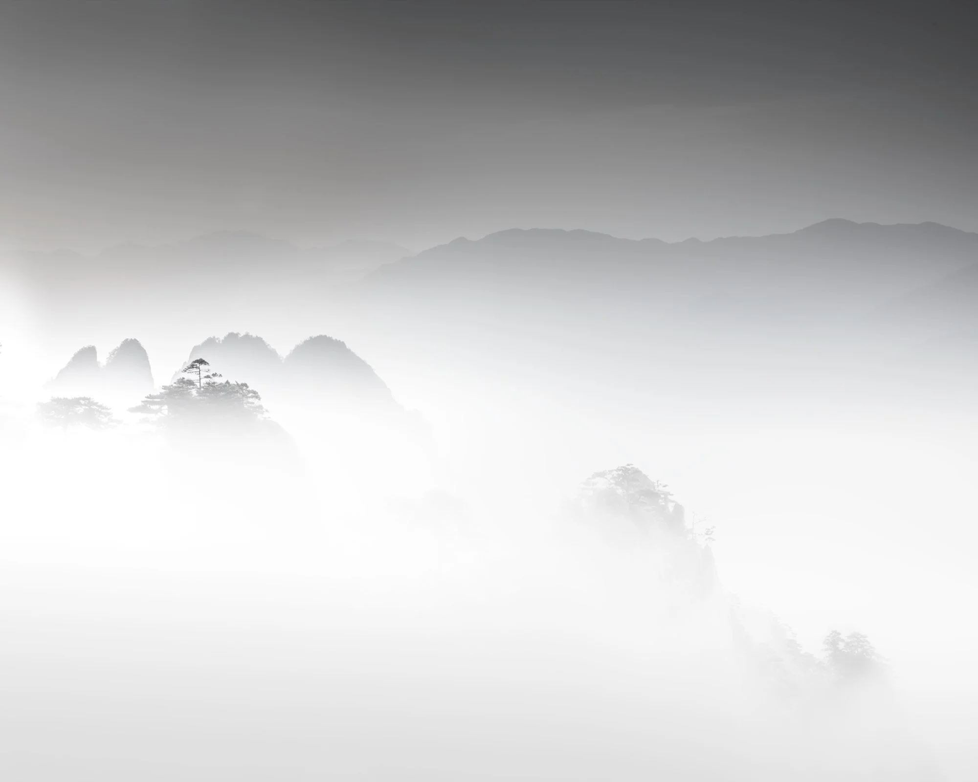 _A3A7781.jpg
