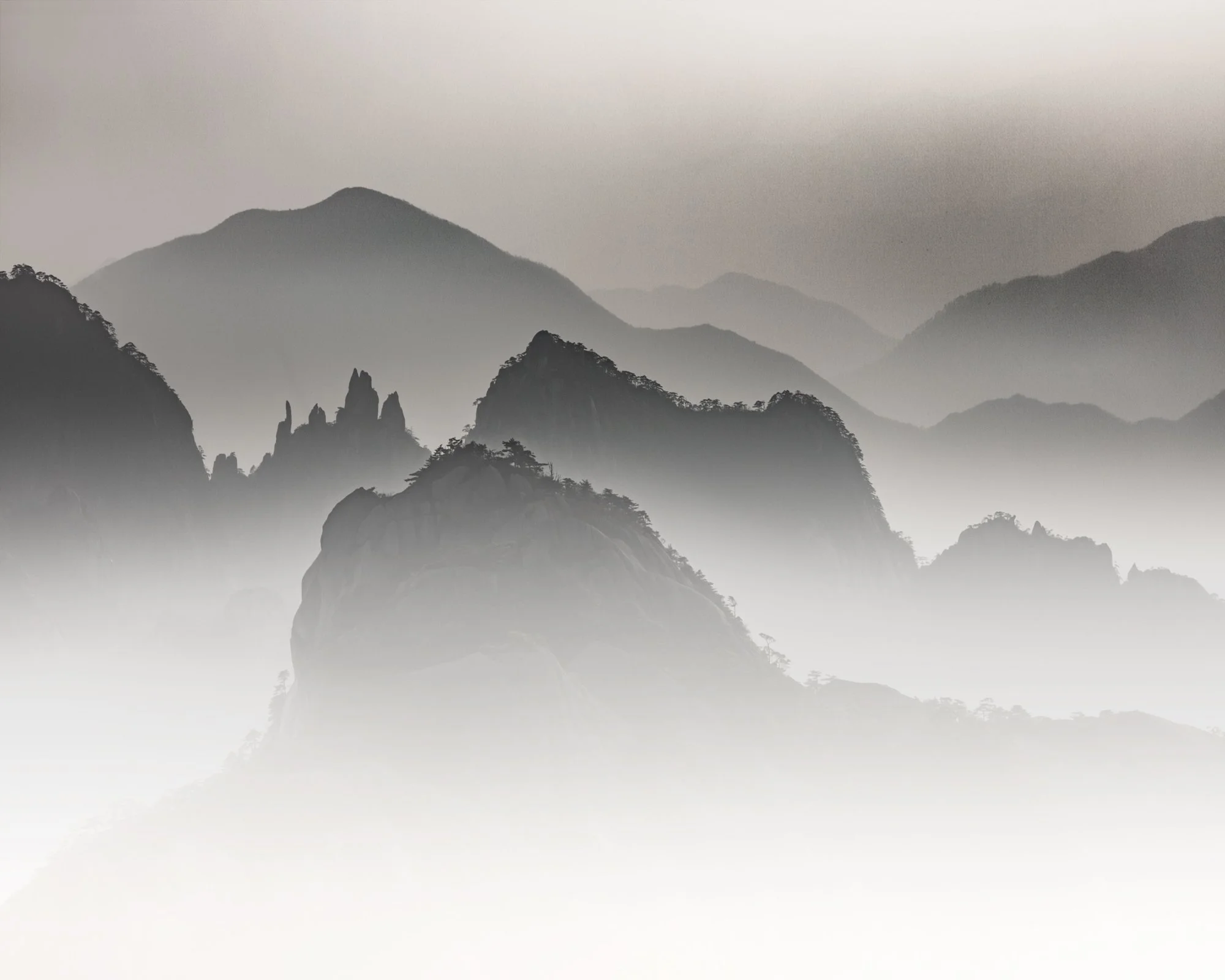 _A3A7561-2.jpg