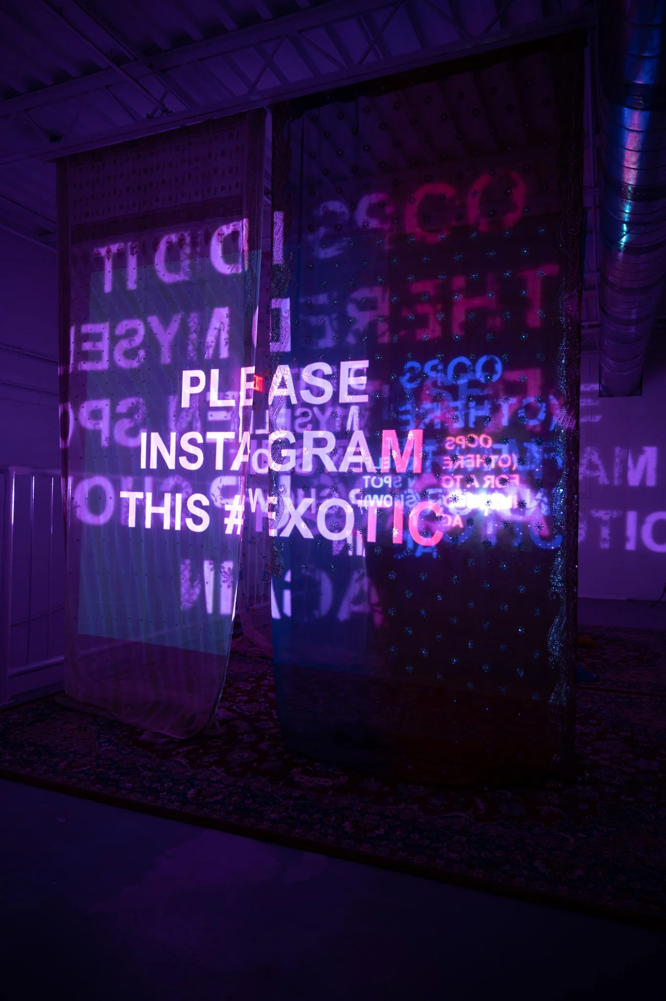 DSC_0399.jpg
