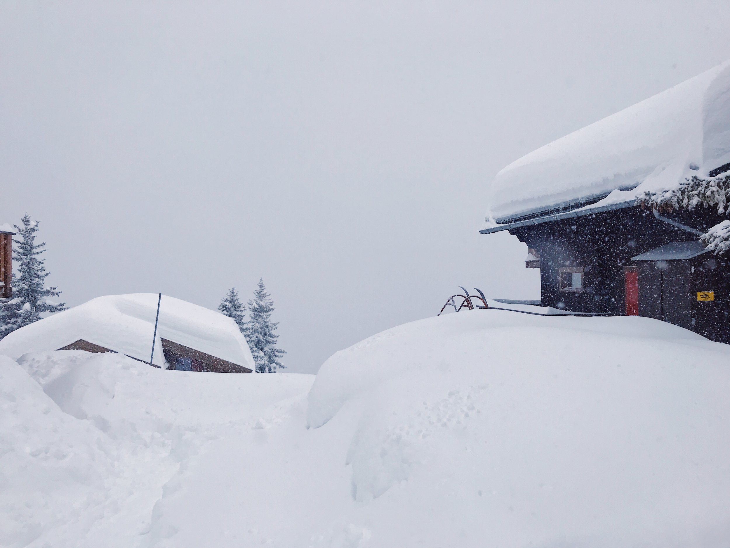 Bettmeralp27.jpg